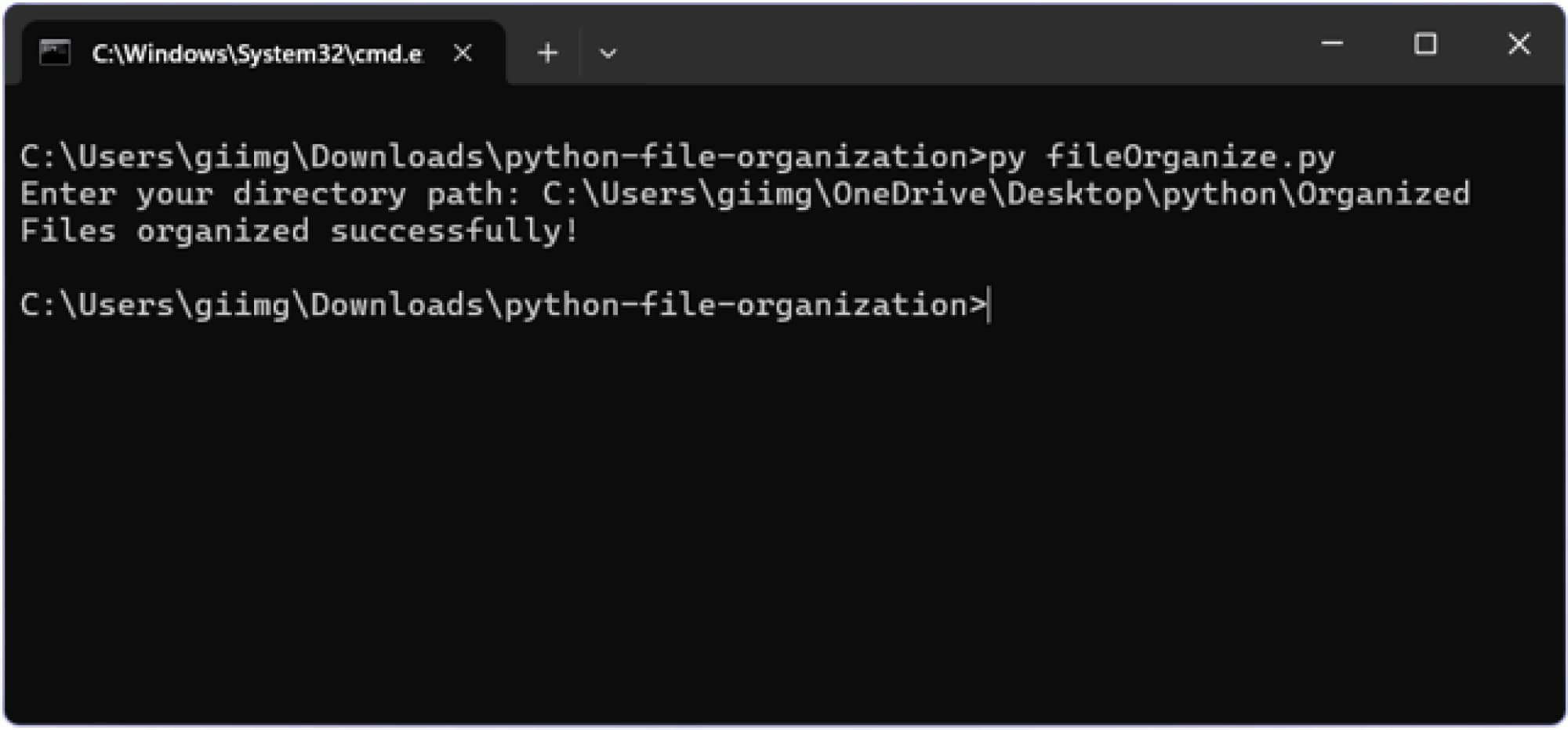FileOrganizer preview 1